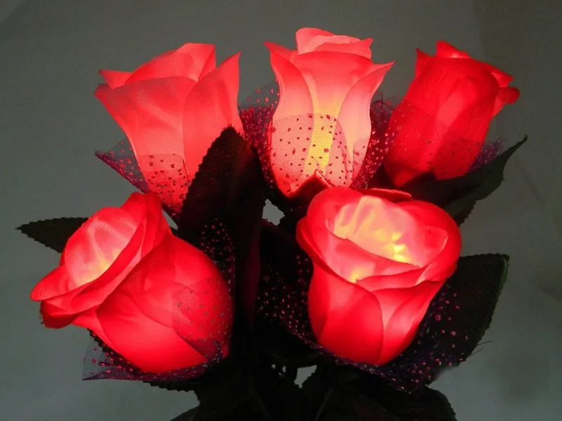 rose flower