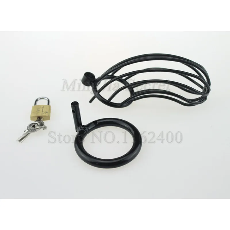 3000399397_1728770533