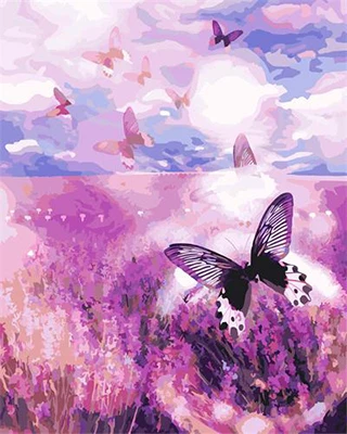 

Butterfly New Arrival Frameless Picture Painting By Numbers Acrylic Painting Unqiue Gift Home Decor 40*50cm G393