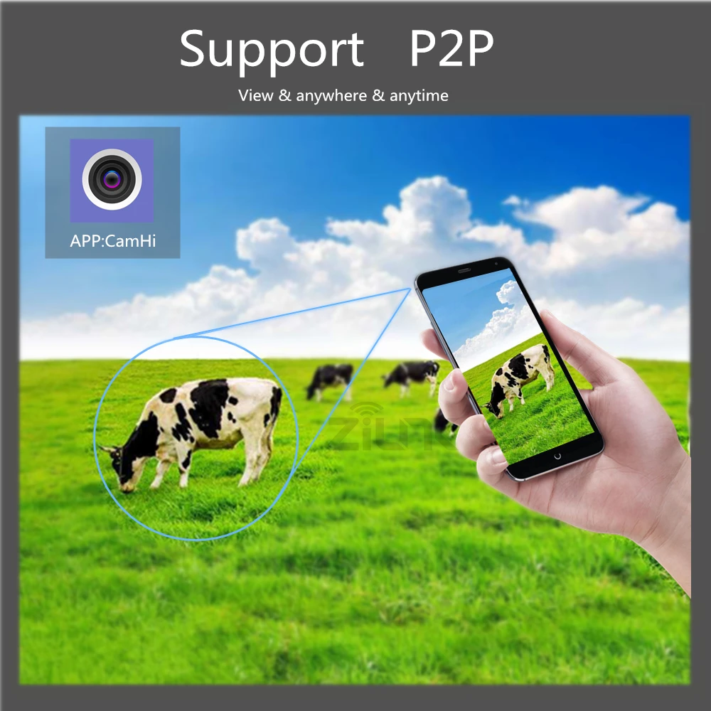 p2p