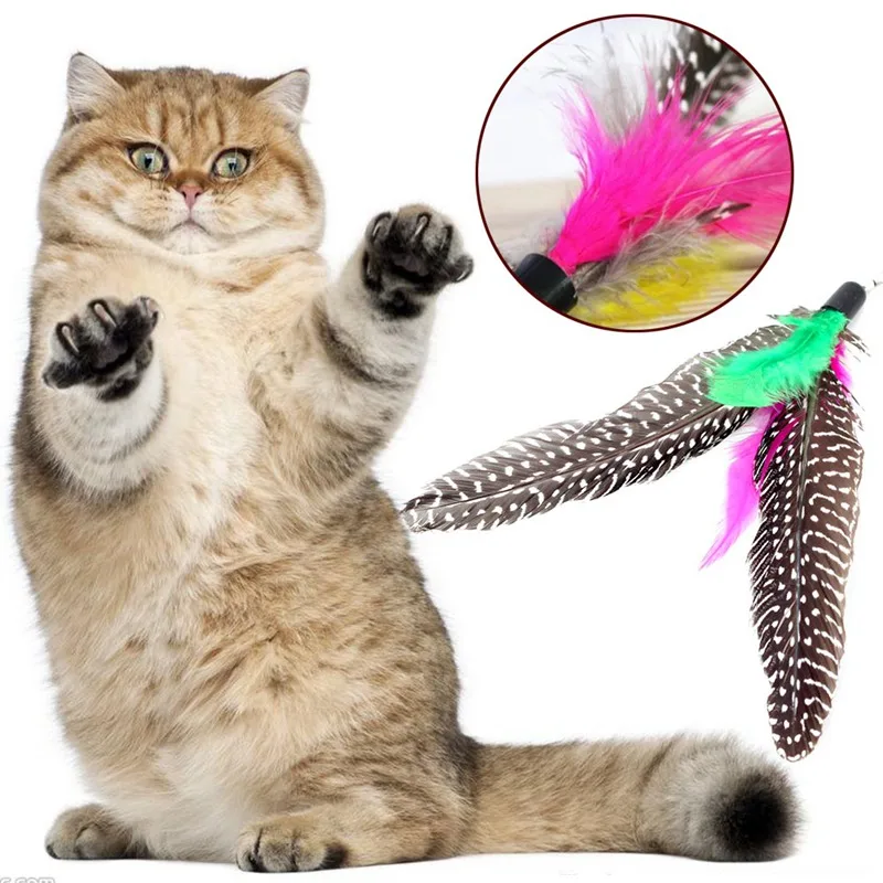 High Quality Pet Cat Toy Newly Design Bird Feather Plush Plastic Toy