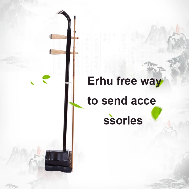 Suzhou Chinese Traditional Music Exclusive Engraved code string