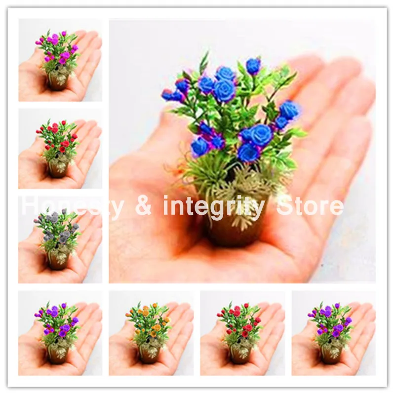

200 Pcs Rare Japan Mini Rainbow Rose Flower Bonsai Gorgeous Bright-Colored Home Garden Plant Balcony & Yard Flower Plant