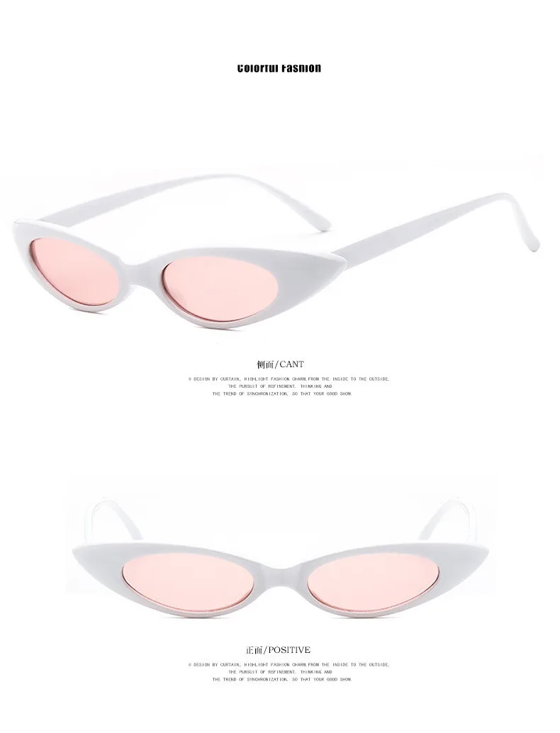 8732716393_825563273