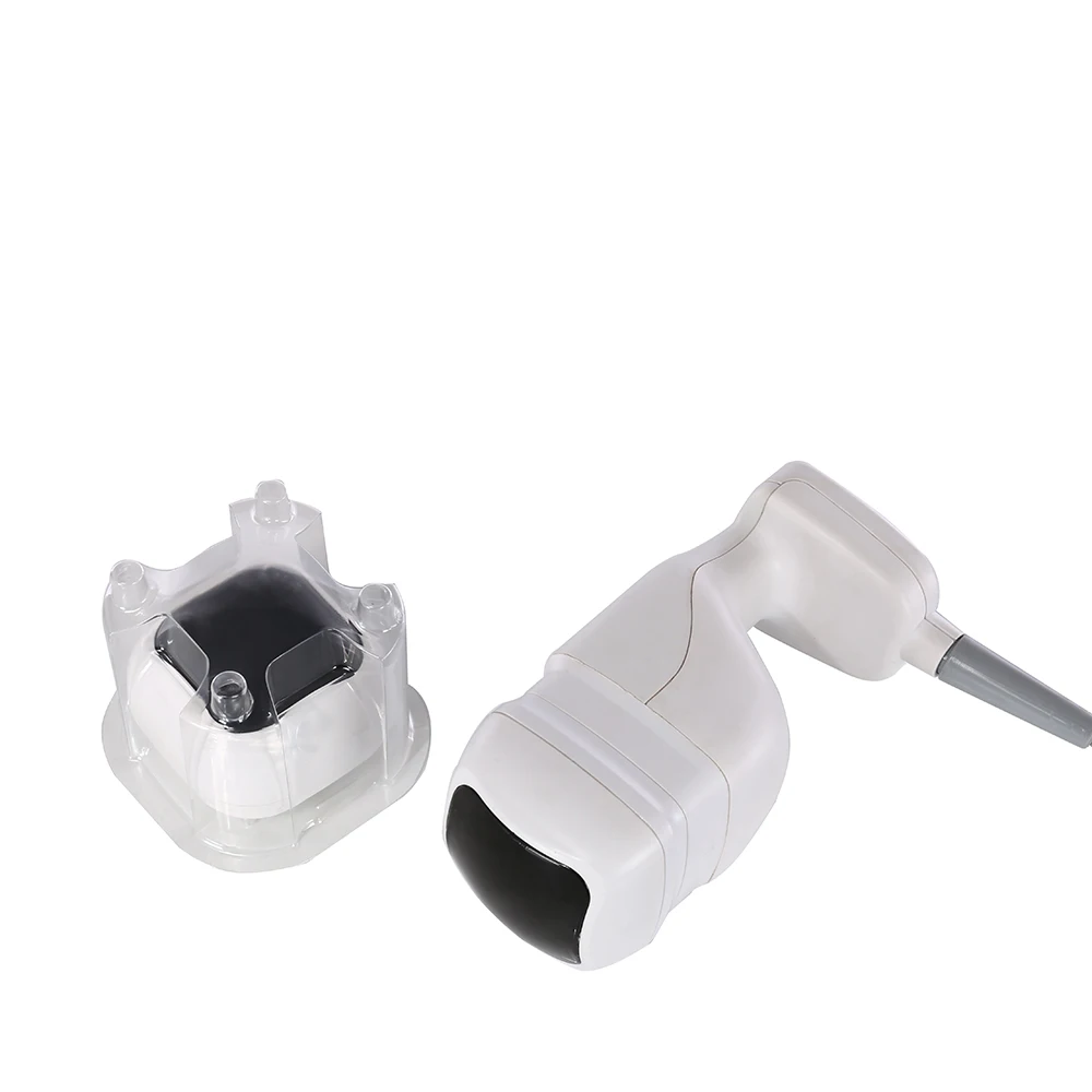 

Portable Sliming Machine Ultrasonic Noninvasive Weight Loss Body Shaping Machine Fat Remover with 2 Cartridges Spa Salon Equip