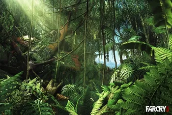 

Game Far Cry 3 lost plane #3 4 Sizes Wall Decor Canvas Poster Print