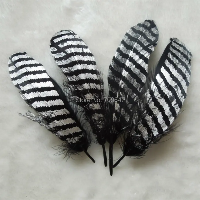 Natural Black Goose Nagorie feathers with Silver Stripe Painting,real