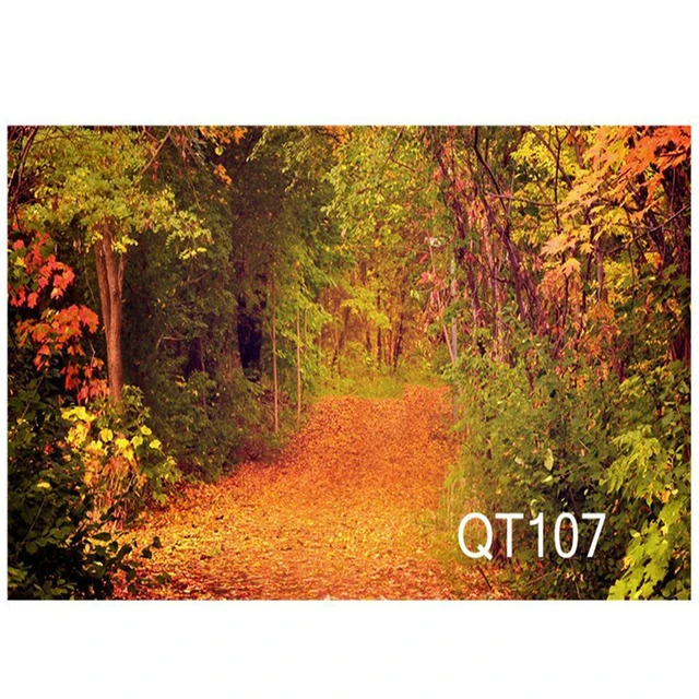 7x5ft a path strewn