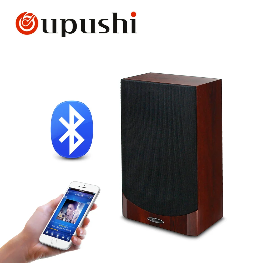 Oupushi PA System 15W Bluetooth Wall Stereo Speaker 2 Way Full Range