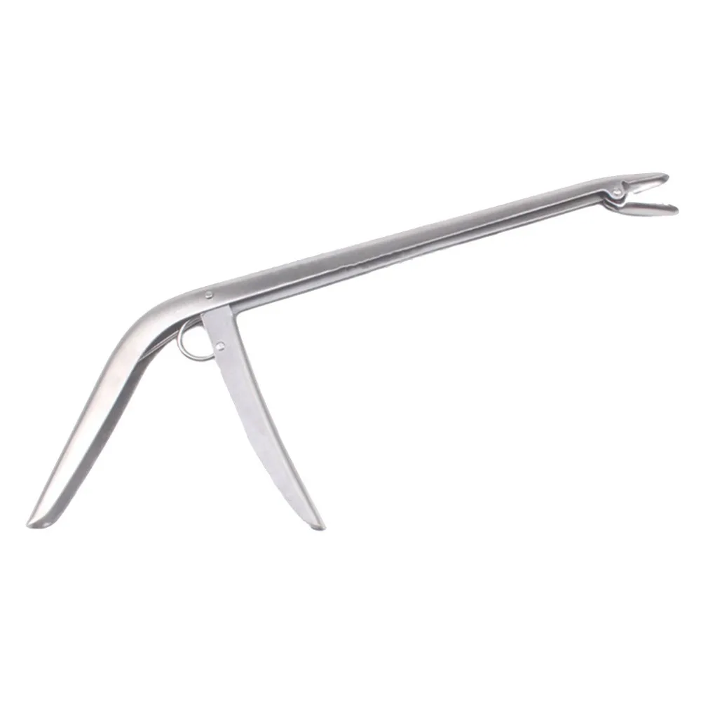 5 - LLZ90503740_0959385573114407268