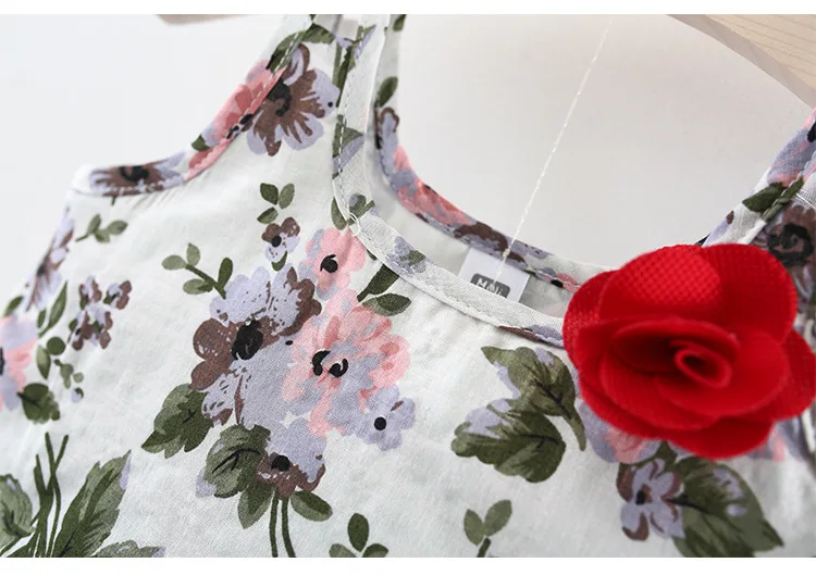 New Born Baby Girls Clothing Sets Princess Dress Tops+Hot short Pants 2 Pcs Kids Outfits Sets 2018 Children Summer Clothes Set (3)