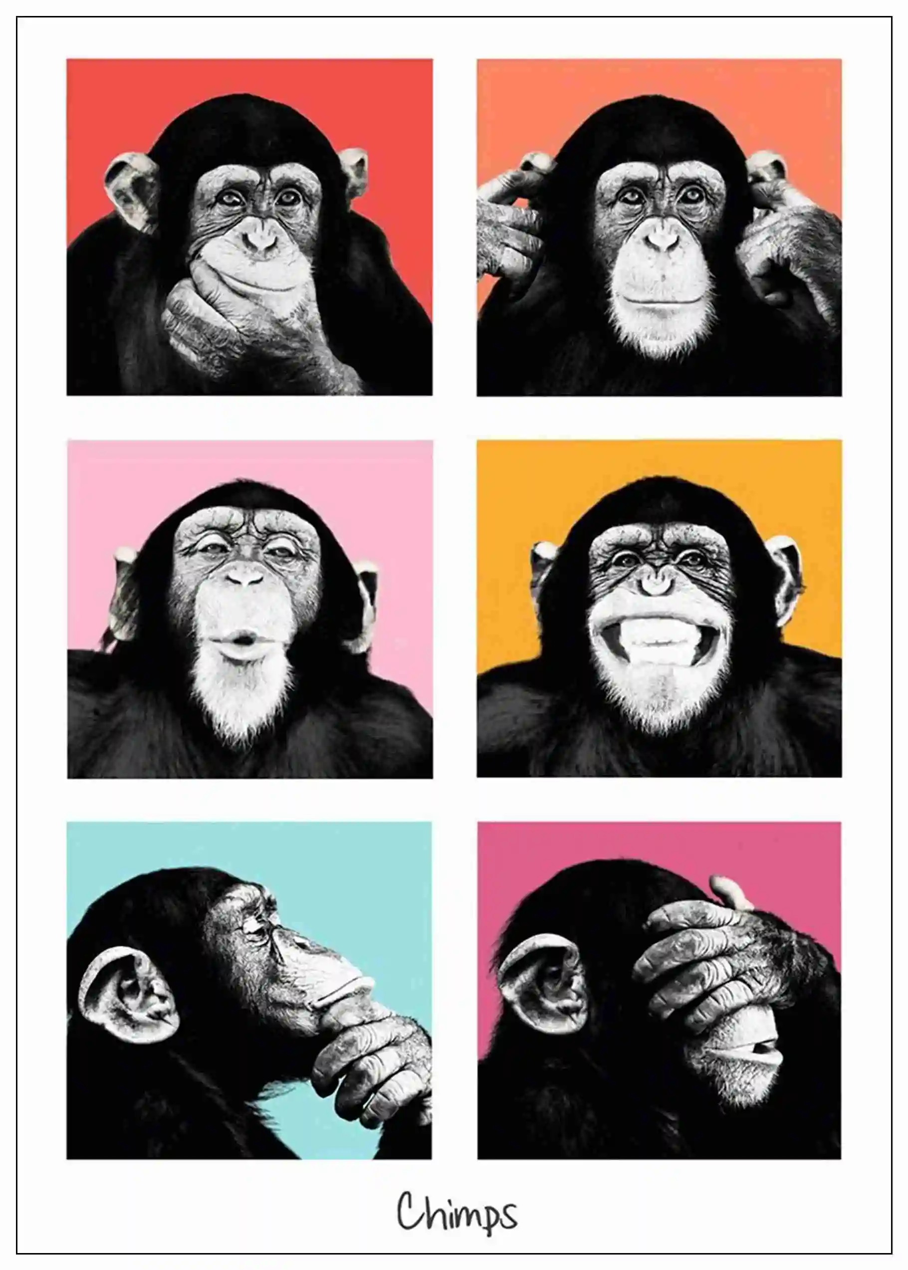 Gorilla Adornment Posters Home Room Decor High Quailty Printing Wallpaper Modern Decoration In Wall Stickers From Home Garden On Aliexpress Com Alibaba Gorilla Adornment Posters Home Room Decor High Quailty Printing Wallpaper Modern Decoration In Wall Stickers From Home Garden On Aliexpress Com Alibaba