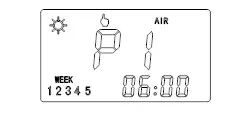 program