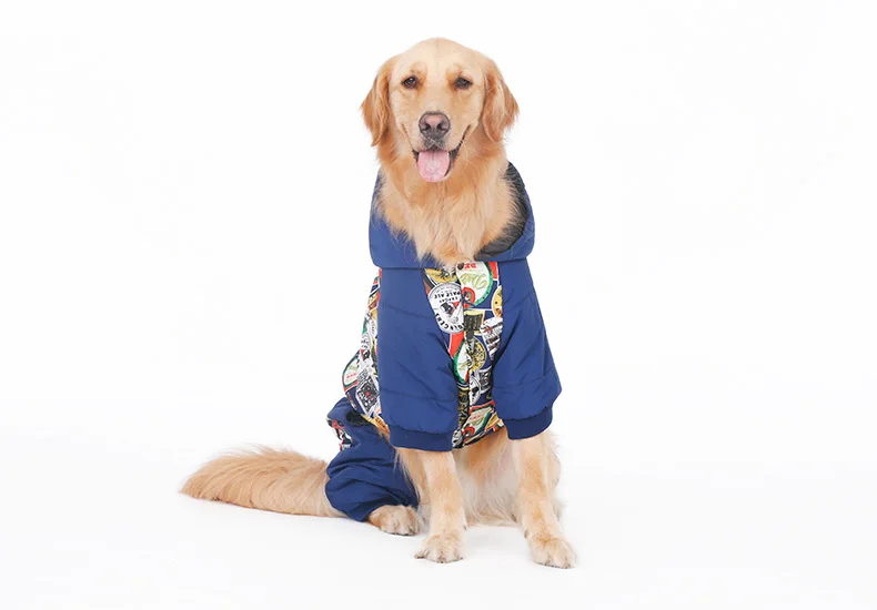 Köpek Montu