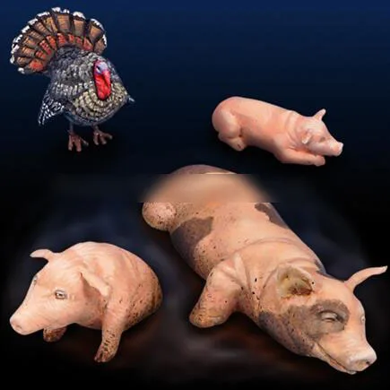 

1/35 Modified Parts Poultry Animal Set (Goose Duck Puppy and so on)