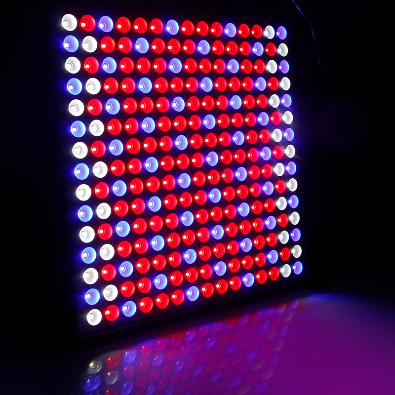 LED Grow Light Full Spectrum 1000W Indoor Plants Grow Tent Lights For Plant Growing Lamp Phyto Fito Lamp Seeding Flowers Growth
