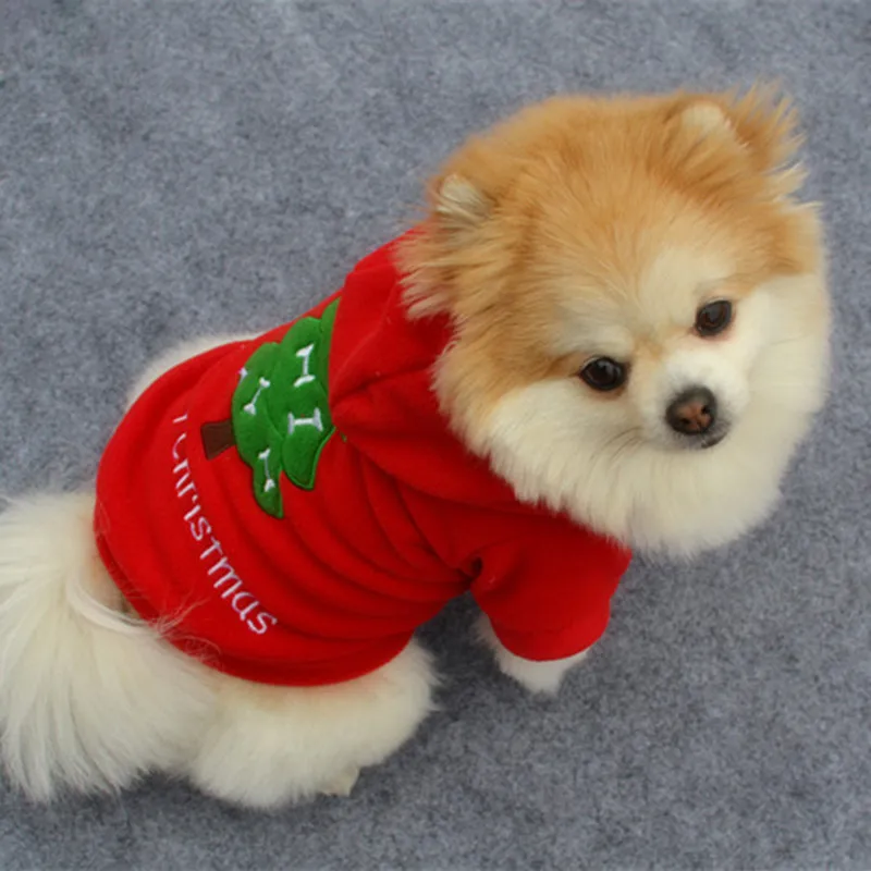 pet clothing