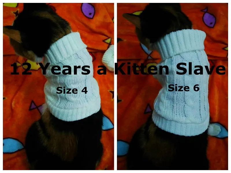 DogStory SWA свитер для собак и кошек, одежда для собак, свитер 7 размеров, 9 цветов, свитер для французского бульдога