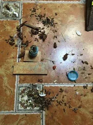 1 шт. сильнодействующий эффективный таракан убивающий дым бомба для борьбы с