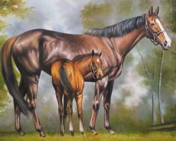 

100% Handicrafts Art Repro oil painting:Horse In canvas 24x36"