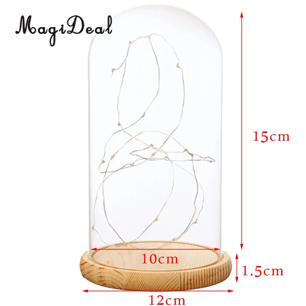 Glass Display Dome Cloche With Suspended LED Lights Tabletop Lamp Wedding Holiday Decor Crafts