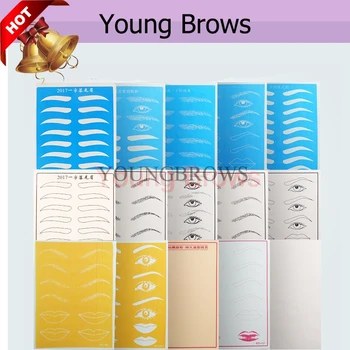 

Blue Practice Skin Four Designs For Eyebrow Tattoo Microblading Practice