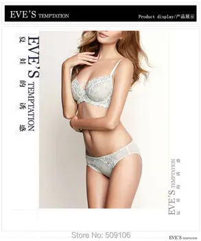 

normal cross border - presale