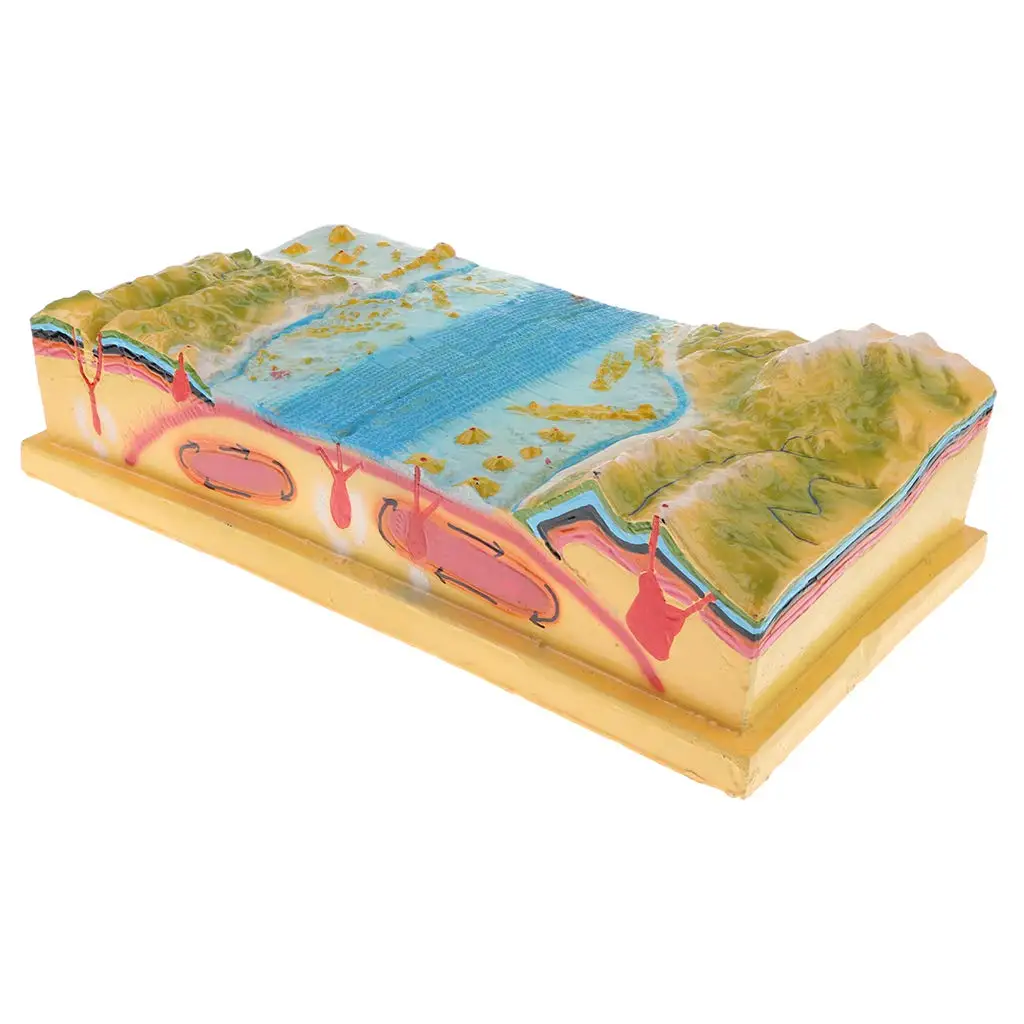 3D Tectonic модель для морской нижней горной земной поверхности школьный учебный