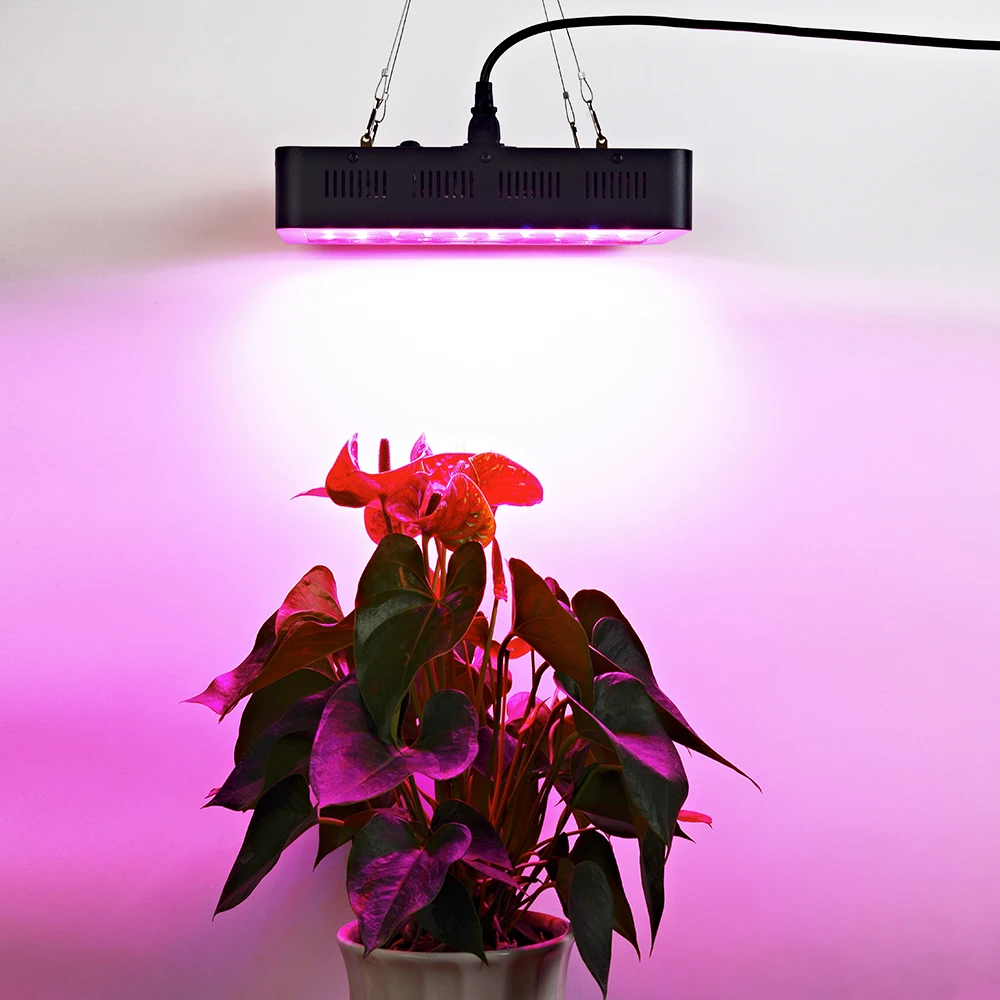 1000w grow light (2)