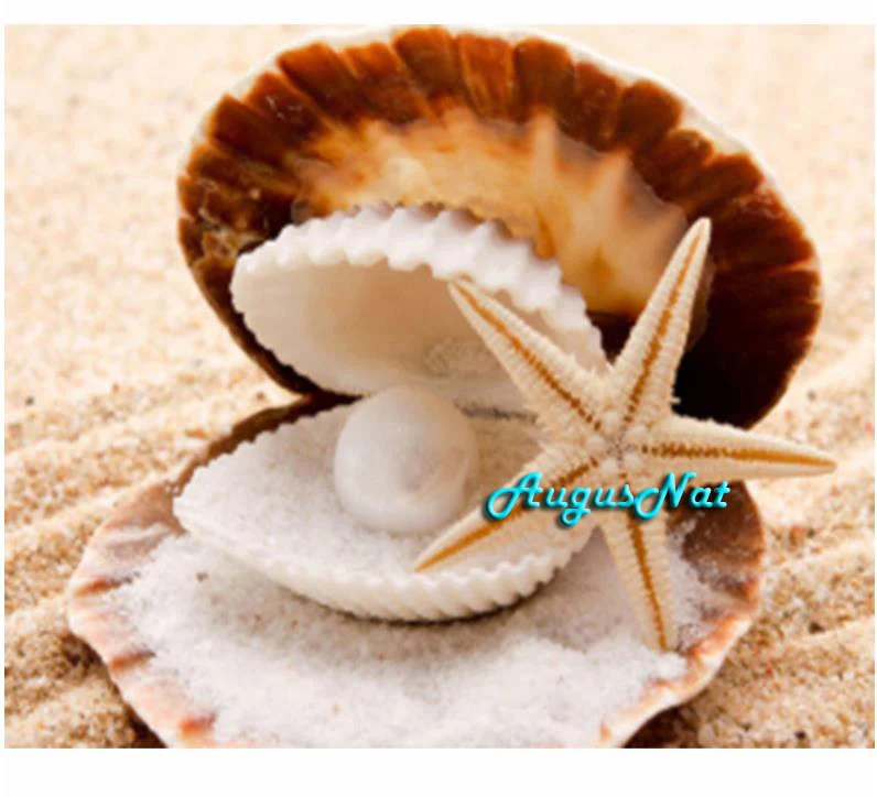 Sea shells алмазная живопись вышивка крестиком пейзаж настенное искусство жемчужный