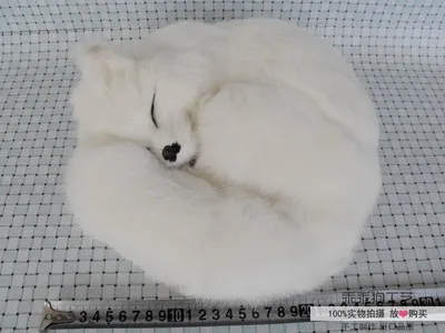 

simulation cute white fox 21x12cm model polyethylene&furs fox model home decoration props ,model gift d837