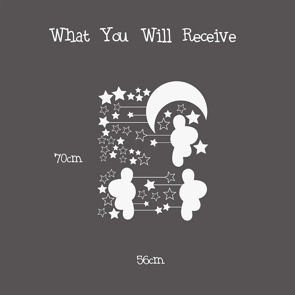 WHAT YOU WILL RECEIVE