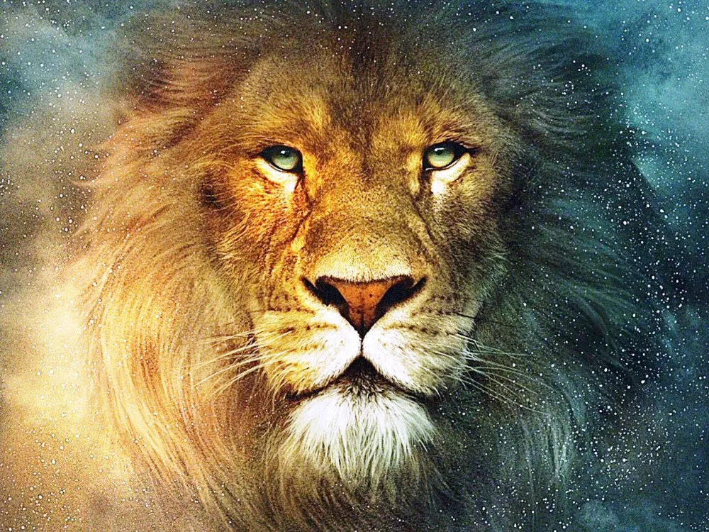Лев 100 50. Лев живопись. Лев 100 50. Фотошторы одинокий лев. Лев царь зверей картинки.