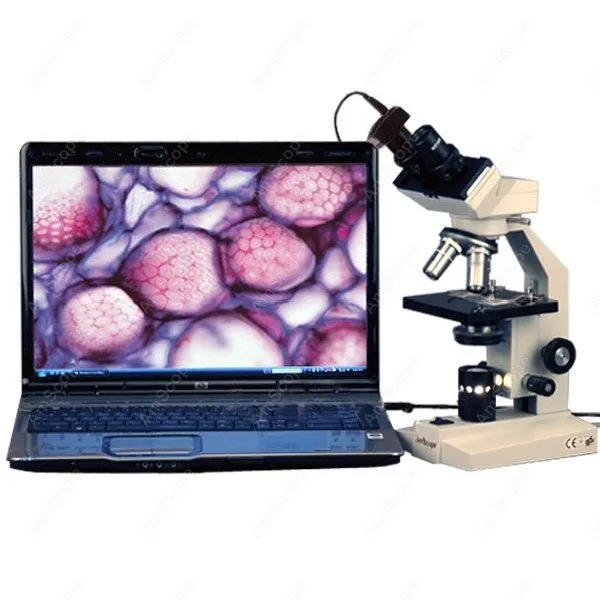 Vet High Power Biological AmScope Supplies 40X 1000X Veterinary Compund Microscope + 5MP Camera