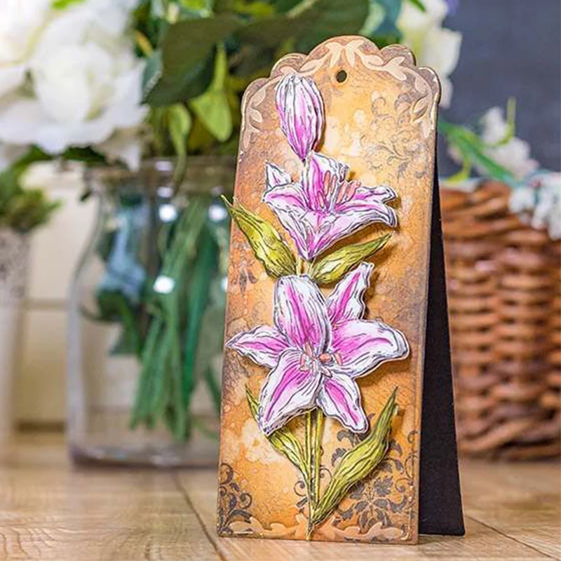 sheena_tags_photos_59