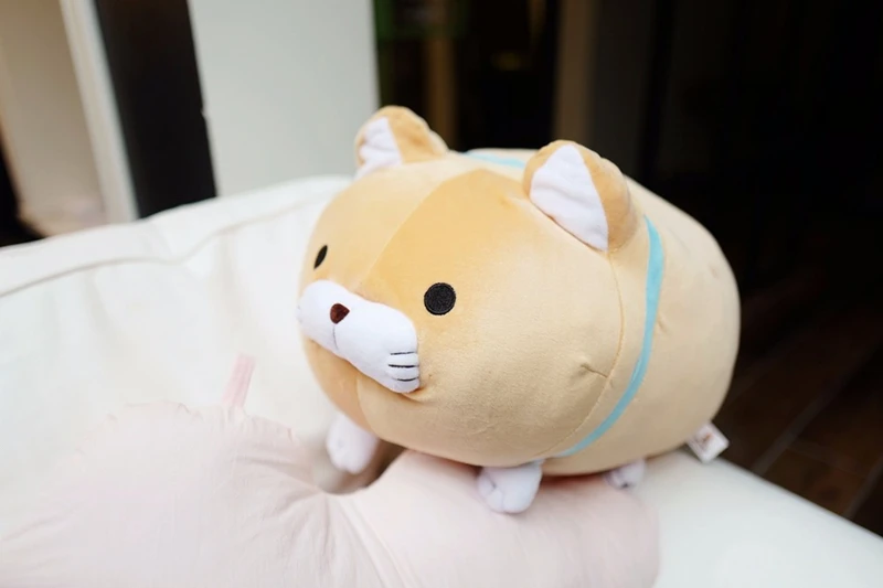 HTB1WOMzaXkoBKNjSZFkq6z4tFXaT