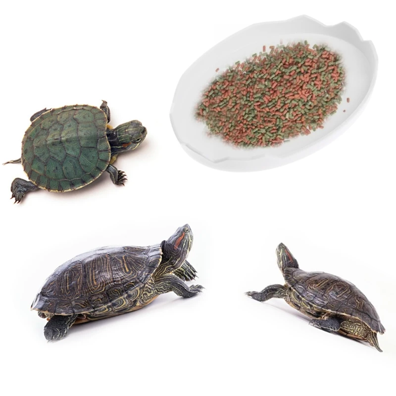 Pet Tortoise Snake Reptile Terrarium Drinking Food Water Bowl Dish