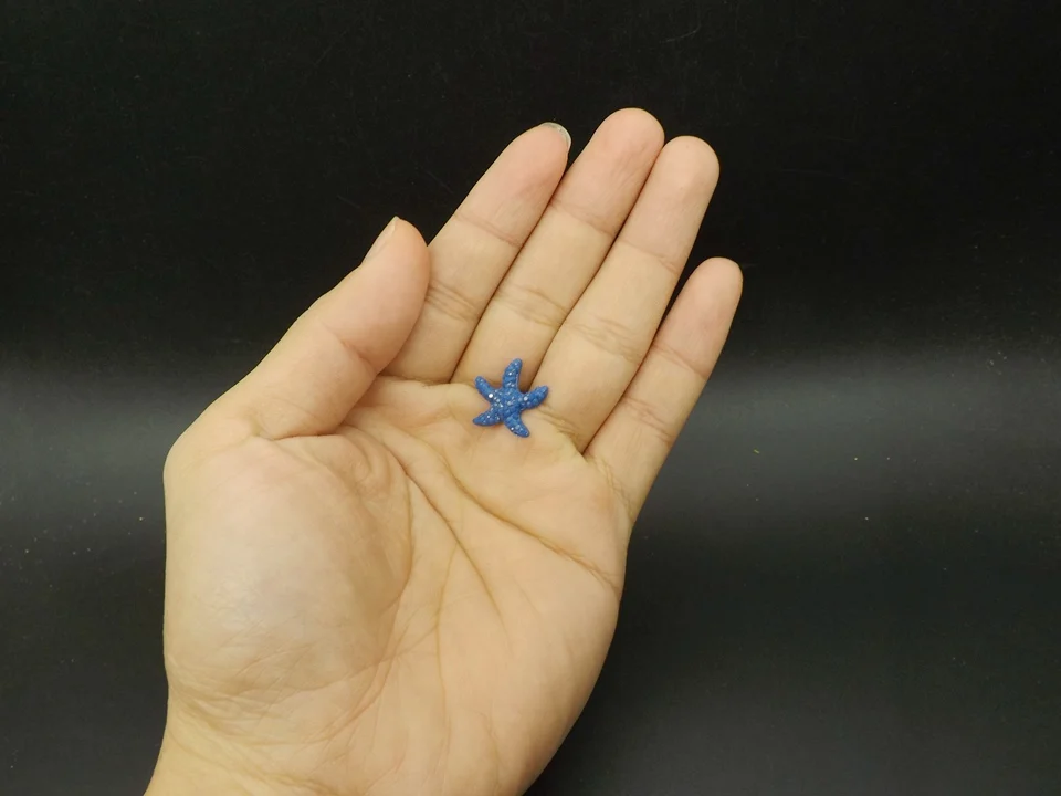 Tiny-A117Starfish (5)