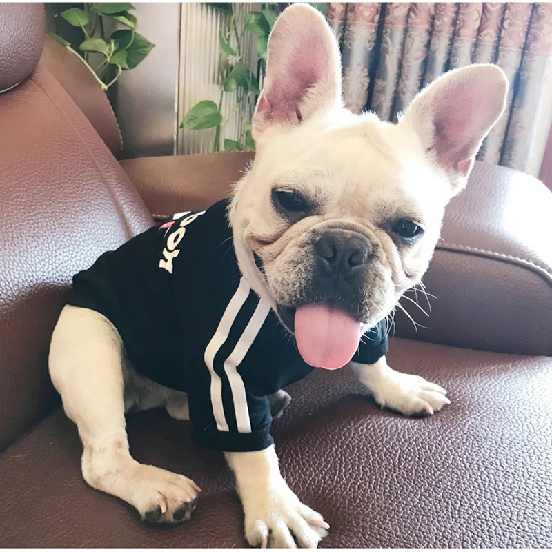 adidas dog tracksuit