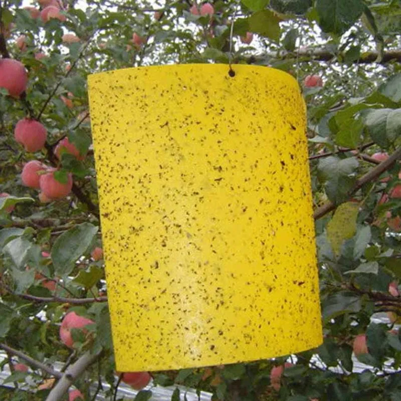 

Outdoor Pest Control Glue Paper Strong Flies Traps Bugs Hanging Sticky Board Catcher Aphid Insects Killer Agriculture Tools