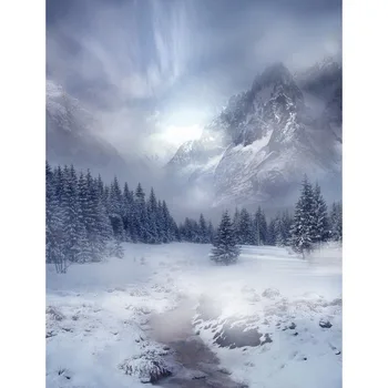 

Vinyl Photography Background Computed Printed Winter Snow Mountain Scenic Backdrops for Photo Studio S-2460