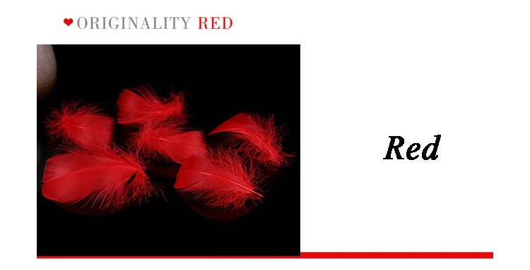 3255507686_1022353483