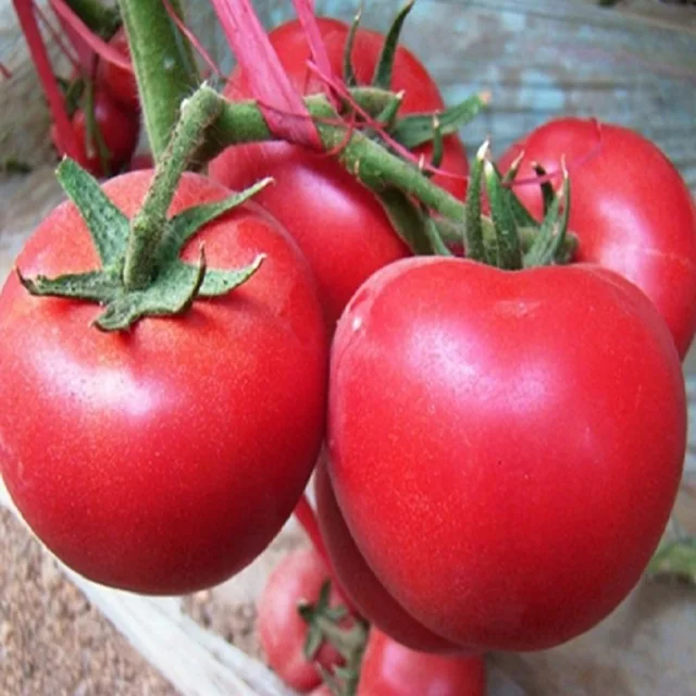 Rare Tomato Seeds, 200pcs/pack