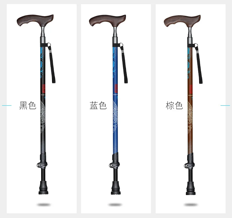 Details of Carbon Old Man's CaneHedition1029_03.jpg