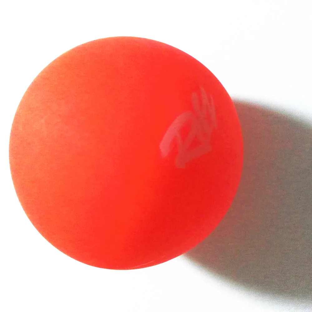 Free Shipping Inline Hockey Training Indoor Roller Skate Ice Hockey R