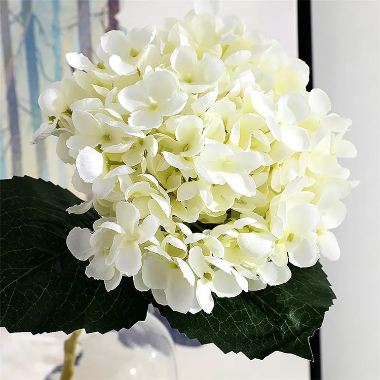 20190215_204356_014