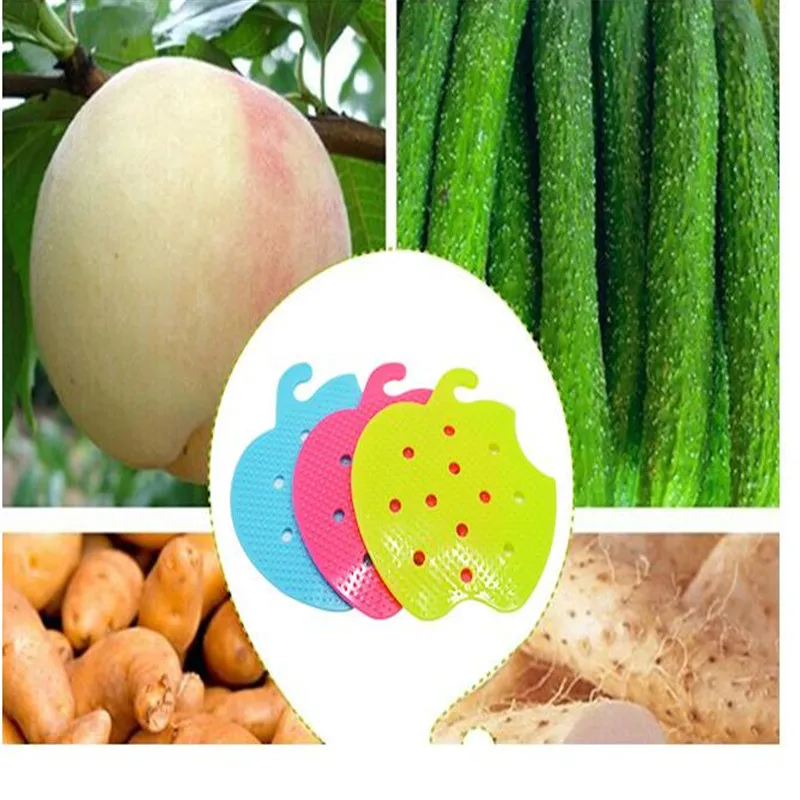 11onal-Fruit-Vegetable-Brush-Kitchen-Tools-Easy-Cleaning-Brush-For-Potato-Kitchen-Home-Gadgets-cooking