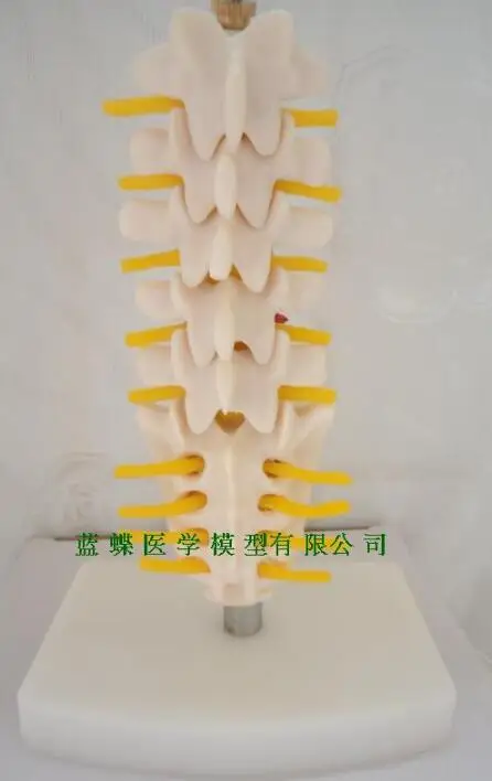 QQ20180722192002