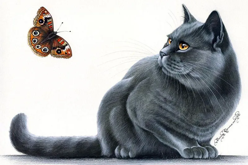 

Cat Watch Butterfly Illustration Classic Wall Sticker Canvas Paintings Decorative Vintage Poster Home Bar Decor Gift