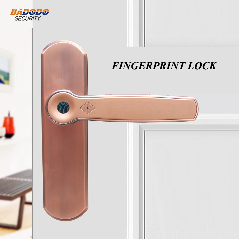 

Smart semiconductor Fingerprint Lock Electric biometric fingerprint Door Lock with mechanical key for indoor wooden door